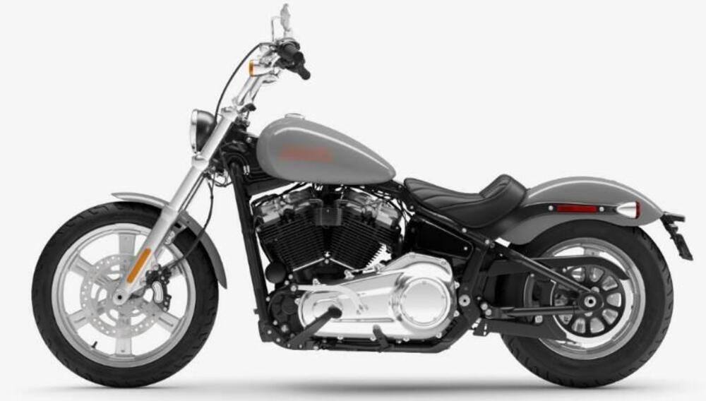 Harley-Davidson Softail Standard (2021 - 25) (2)