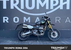 Triumph Scrambler 1200 Steve McQueen Edition (2021 - 22) usata