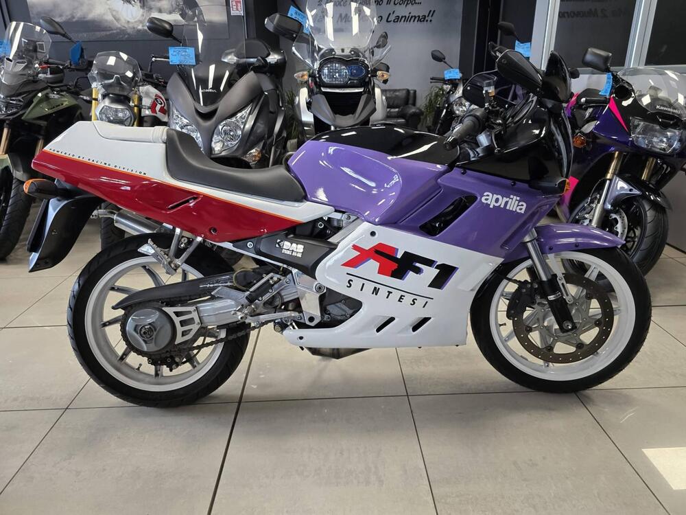 Aprilia AF1 Sintesi