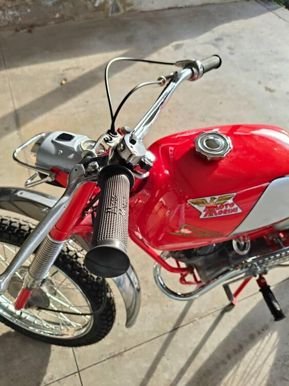 Moto Morini Corsarino scrambler  (5)