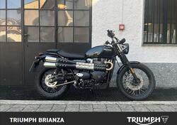 Triumph Scrambler 900 (2023 - 25) usata