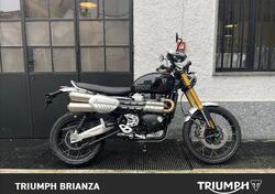 Triumph Scrambler 1200 XE (2024 - 25) usata