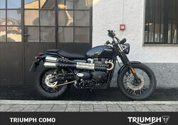 Triumph Scrambler 900 (2023 - 25) usata