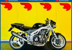 Triumph Speed Triple 955 (2002 - 04) usata