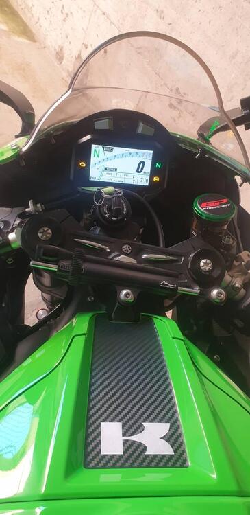 Kawasaki Ninja 1000 ZX-10R (2021 - 25) (5)