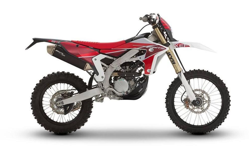 Fantic Motor XEF 310 (2025)