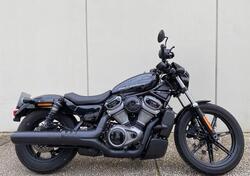 Harley-Davidson Nightster (2023 - 25) usata