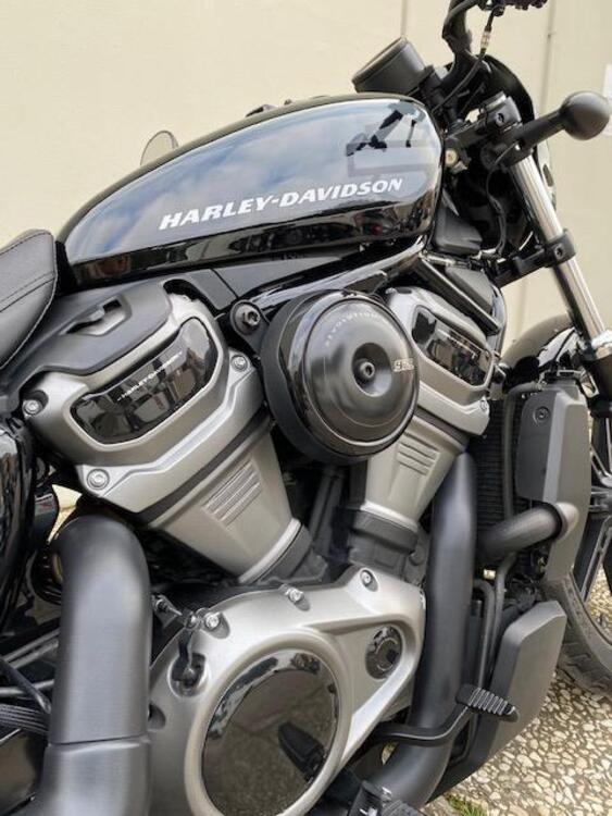 Harley-Davidson Nightster (2023 - 25) (2)