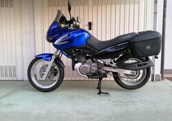 Suzuki XF 650 Freewind (1997 - 03) usata