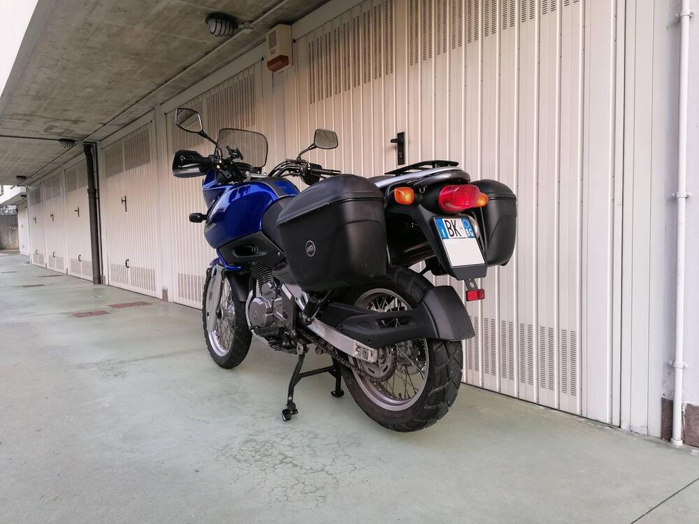 Suzuki XF 650 Freewind (1997 - 03) (2)