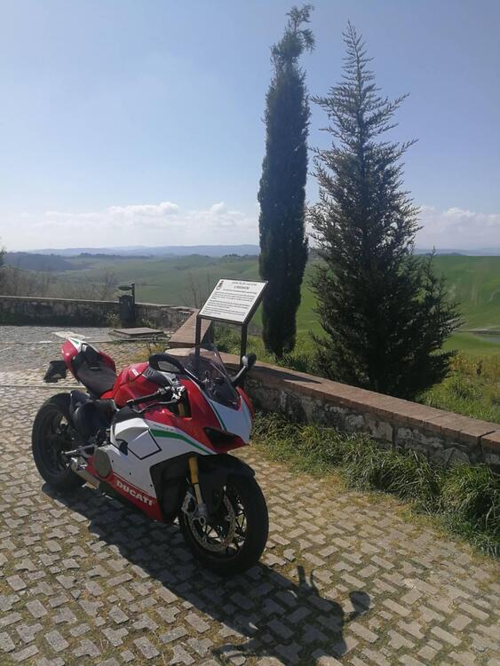 Ducati Panigale V4 S 1100 (2018 - 19) (2)