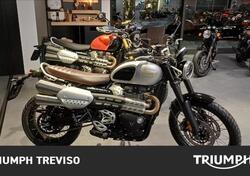 Triumph Scrambler 1200 X Icon Edition (2025) usata