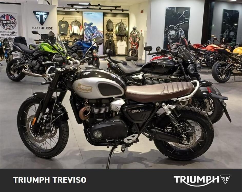 Triumph Scrambler 1200 X Icon Edition (2025) (4)