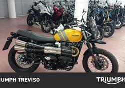 Triumph Scrambler 900 (2023 - 25) usata