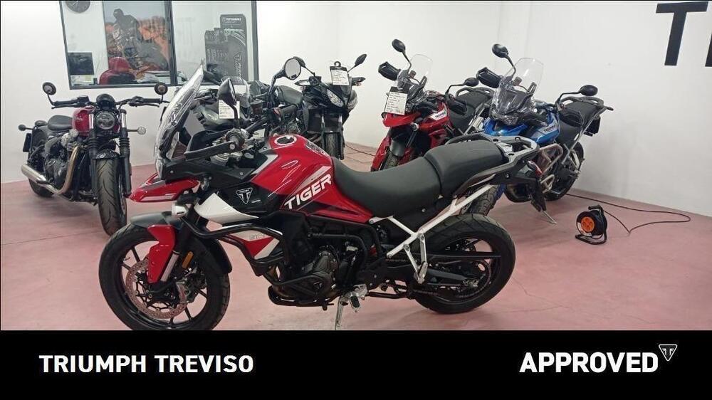 Triumph Tiger 900 GT Aragón Edition (2023 - 24) (2)