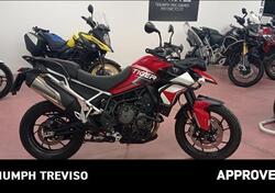 Triumph Tiger 900 GT Aragón Edition (2023 - 24) usata