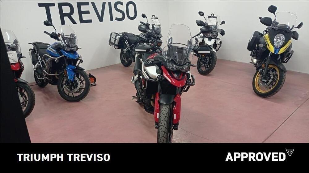 Triumph Tiger 900 GT Aragón Edition (2023 - 24) (3)