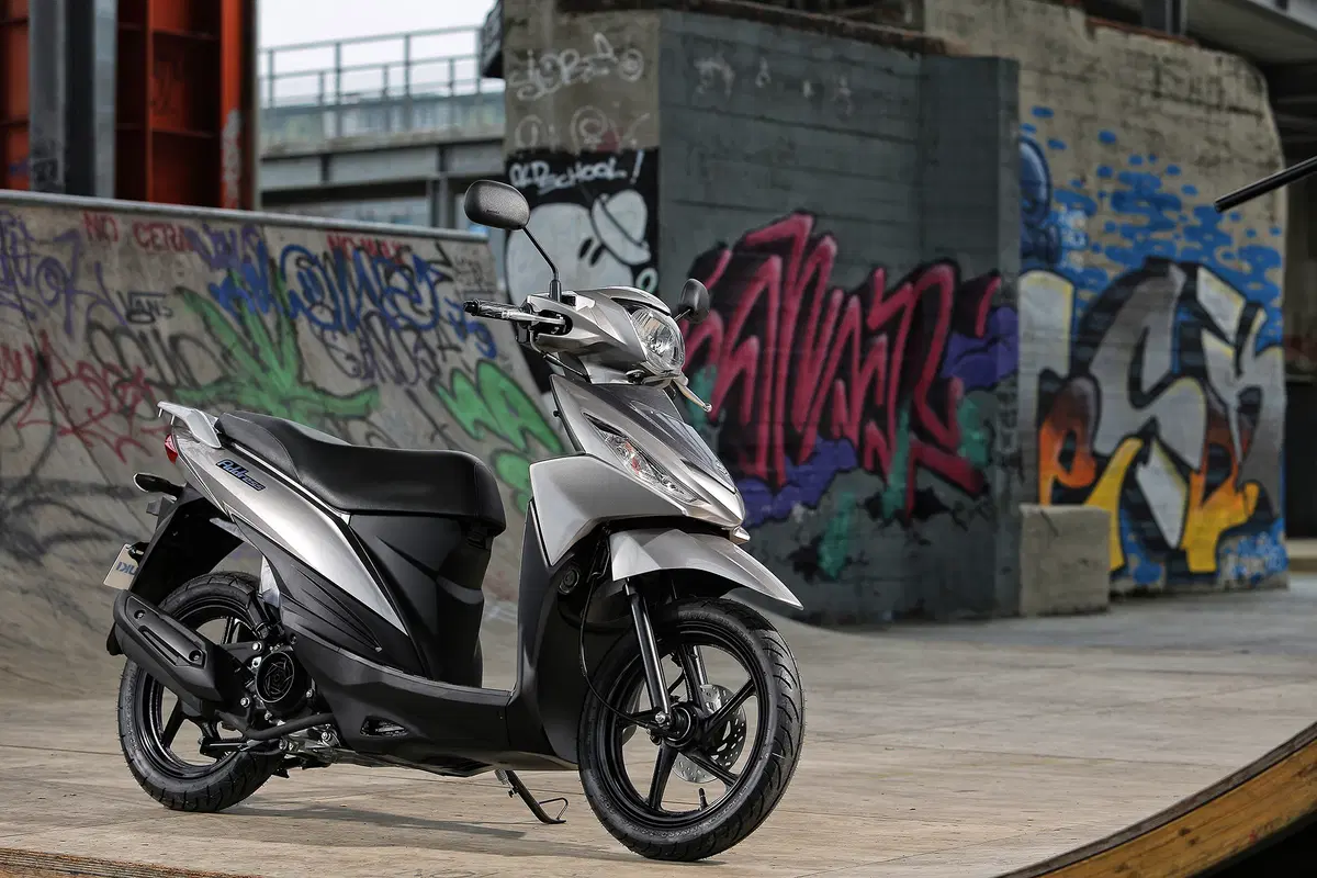 Suzuki Address 110 (19)
