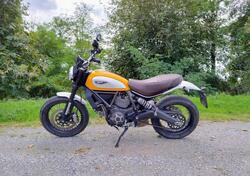 Ducati Scrambler 800 Classic (2015 - 16) usata