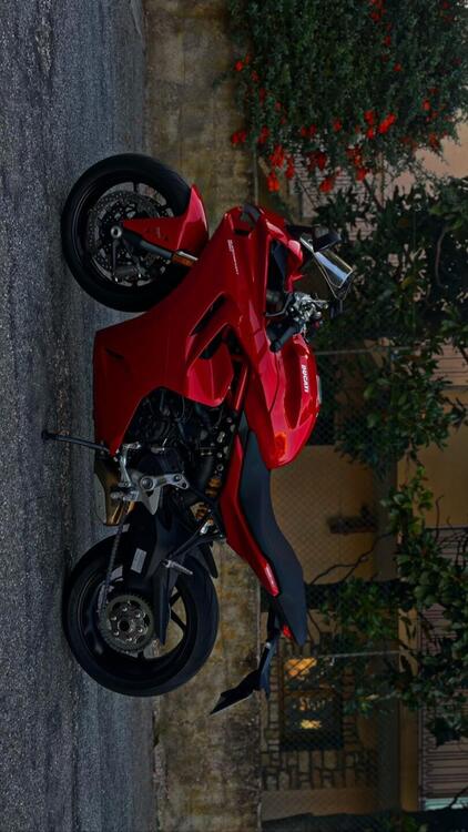 Ducati SuperSport 950 (2021 - 24) (2)