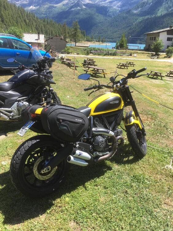 Ducati Scrambler 800 Icon (2015 - 16)