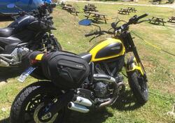 Ducati Scrambler 800 Icon (2015 - 16) usata