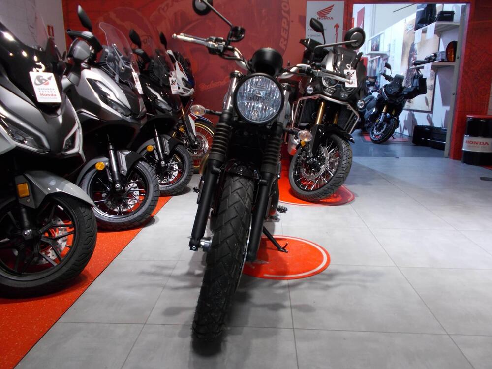 Triumph Street Scrambler 900 (2021 - 22) (3)