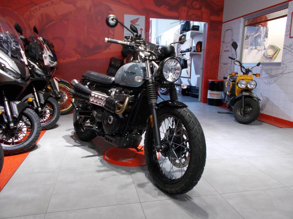 Triumph Street Scrambler 900 (2021 - 22) (4)