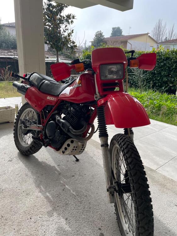 Honda XL 600 R (3)