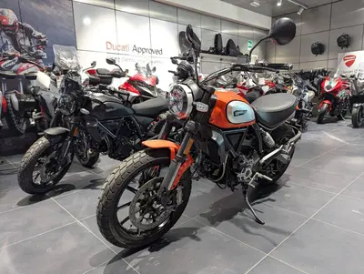 Ducati Scrambler 800 Icon (2017 - 20) usata
