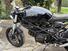 Ducati Monster 600 Dark (1998 - 01) (14)