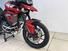 Triumph Tiger 900 GT Pro (2020 - 23) (13)