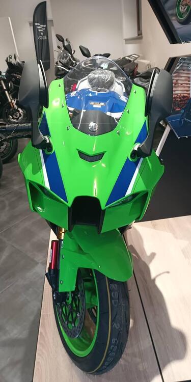 Kawasaki Ninja 1000 ZX-10R 40th Anniversary Edition (2024) (2)