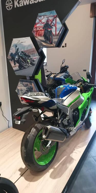 Kawasaki Ninja 1000 ZX-10R 40th Anniversary Edition (2024) (3)