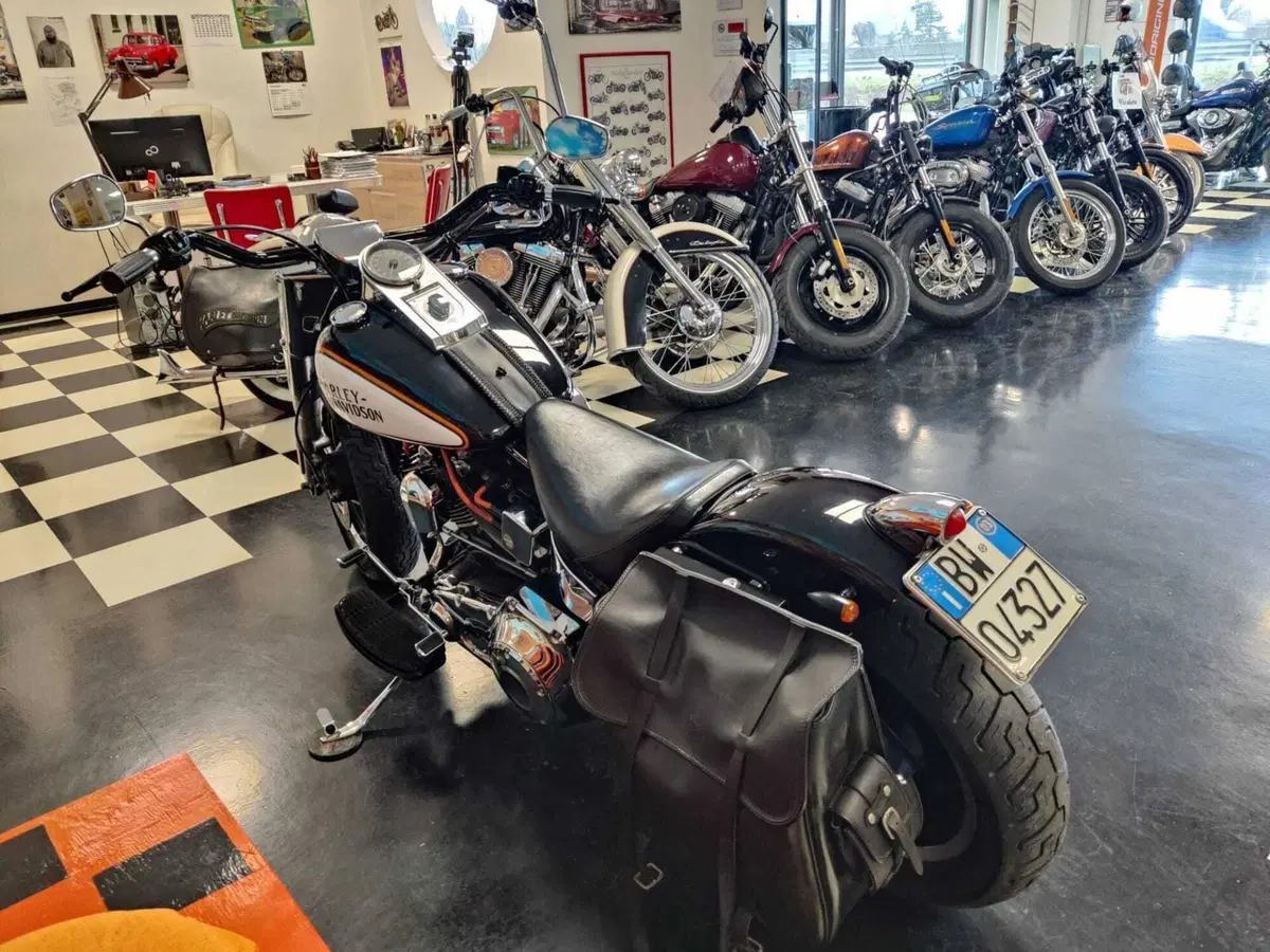 Harley-Davidson 1450 Fat Boy (1999 - 02) - FLSTF (4)