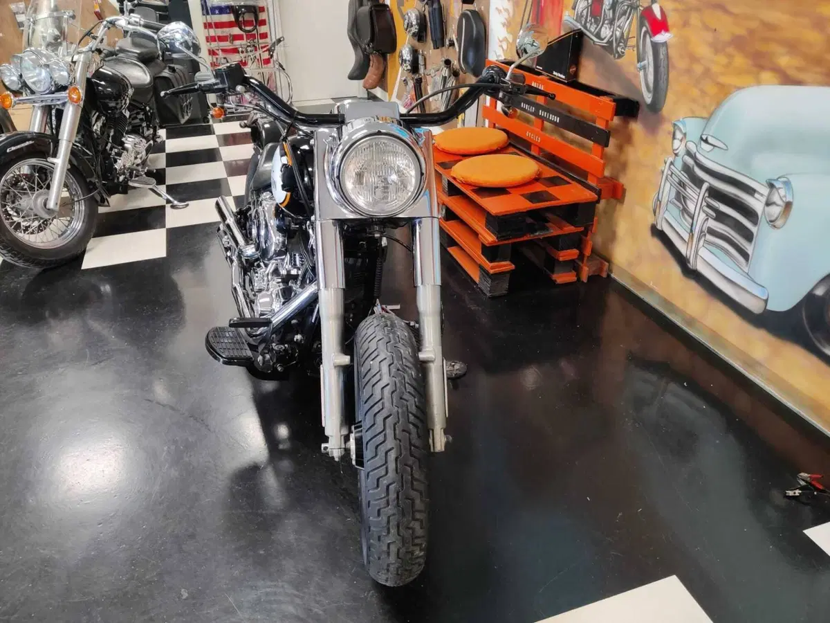 Harley-Davidson 1450 Fat Boy (1999 - 02) - FLSTF (12)