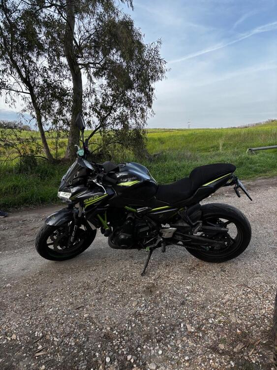 Kawasaki Z 650 (2020)