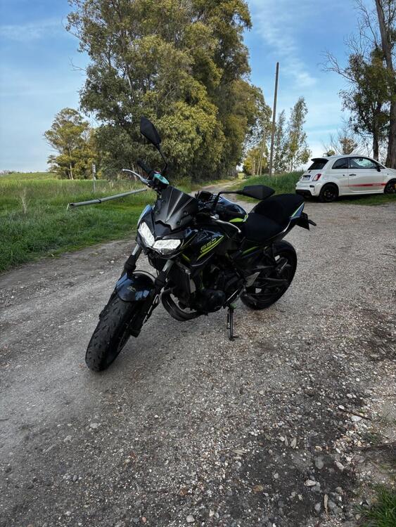 Kawasaki Z 650 (2020) (2)