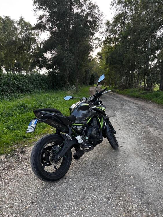 Kawasaki Z 650 (2020) (4)