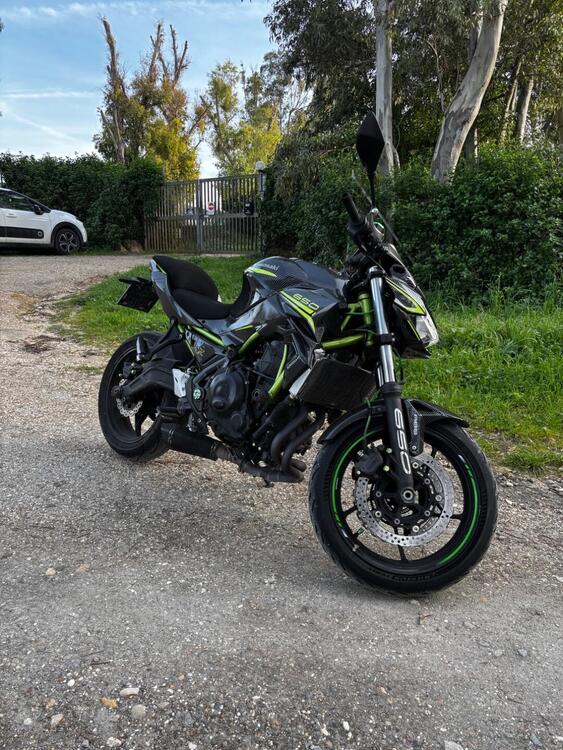 Kawasaki Z 650 (2020) (5)