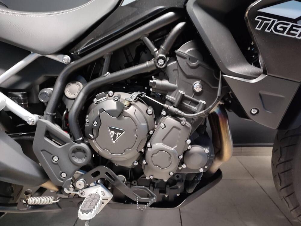 Triumph Tiger 900 GT Pro (2020 - 23) (3)