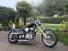 Harley-Davidson chopper Panhead (14)