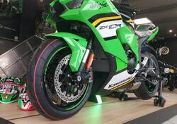 Kawasaki Ninja 1000 ZX-10R (2021 - 25) nuova