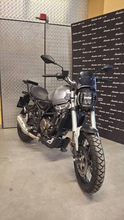 Voge Trofeo 300ACX Scrambler (2021 - 25)