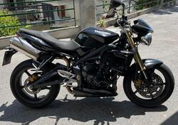 Triumph Street Triple (2007 - 12) usata