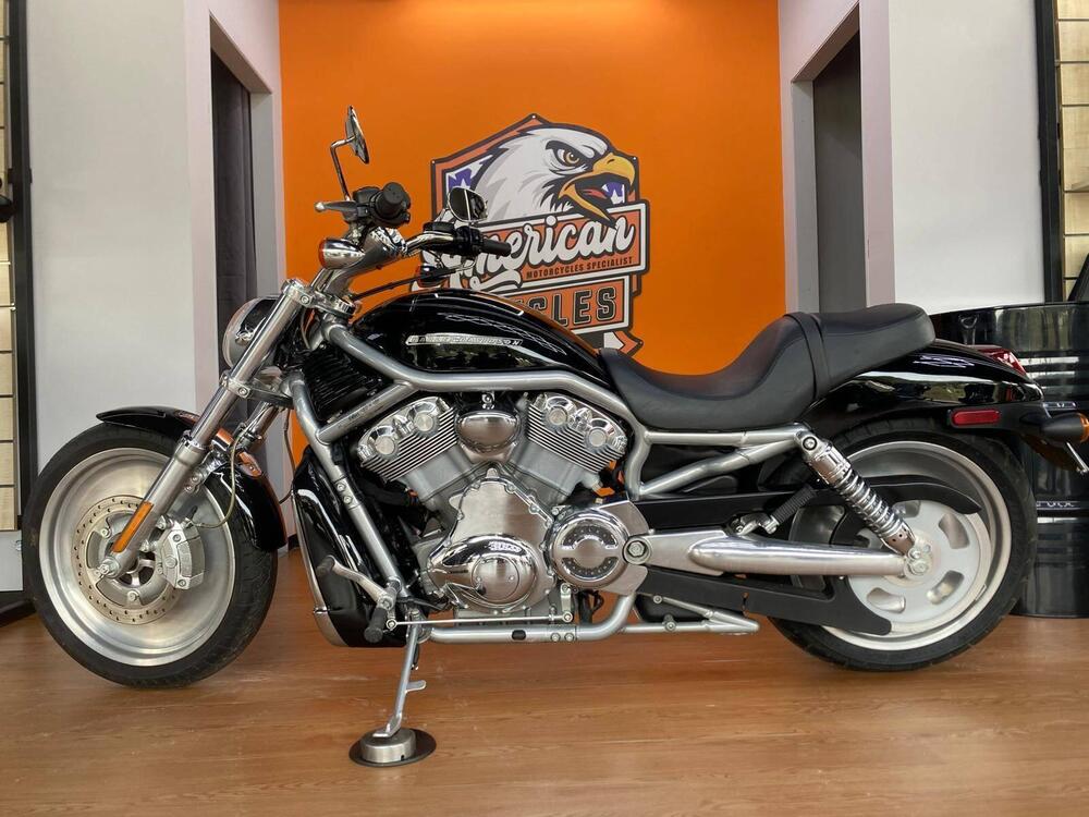 Harley-Davidson 1130 V-Rod (2006) - VRSCA (3)