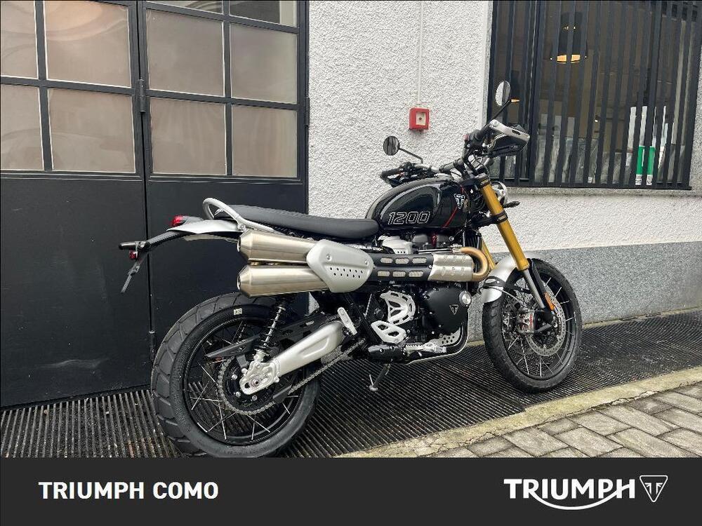 Triumph Scrambler 1200 XE (2024 - 25) (3)