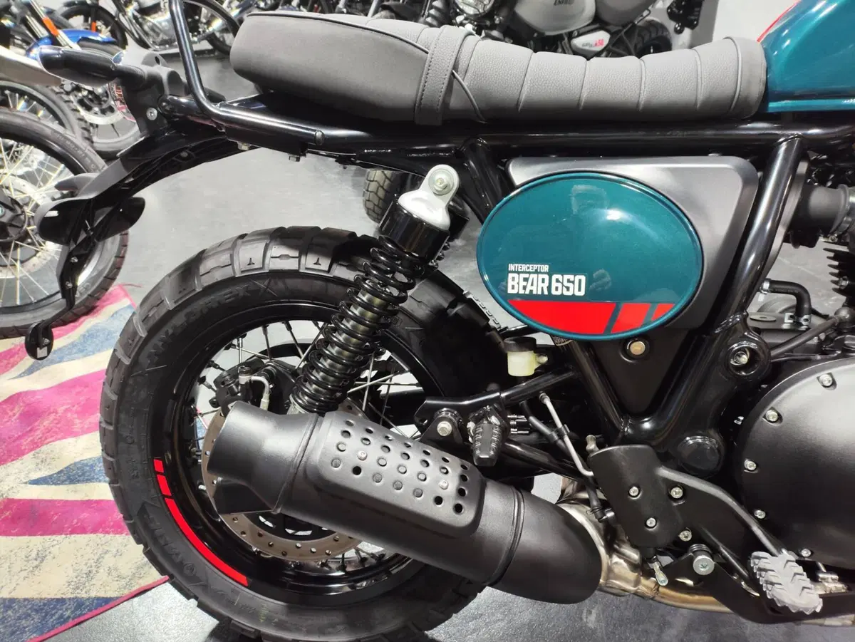 Royal Enfield Bear 650 (2025 - 26) (4)