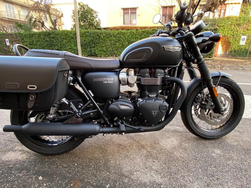 Triumph Bonneville T120 (2016 - 20) (2)