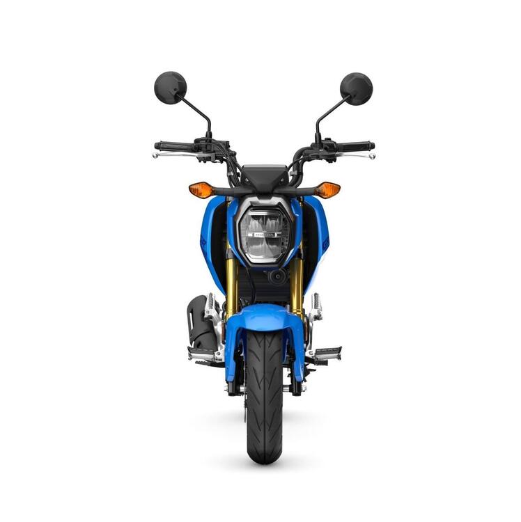 Honda MSX 125 Grom (2021 - 25) (3)